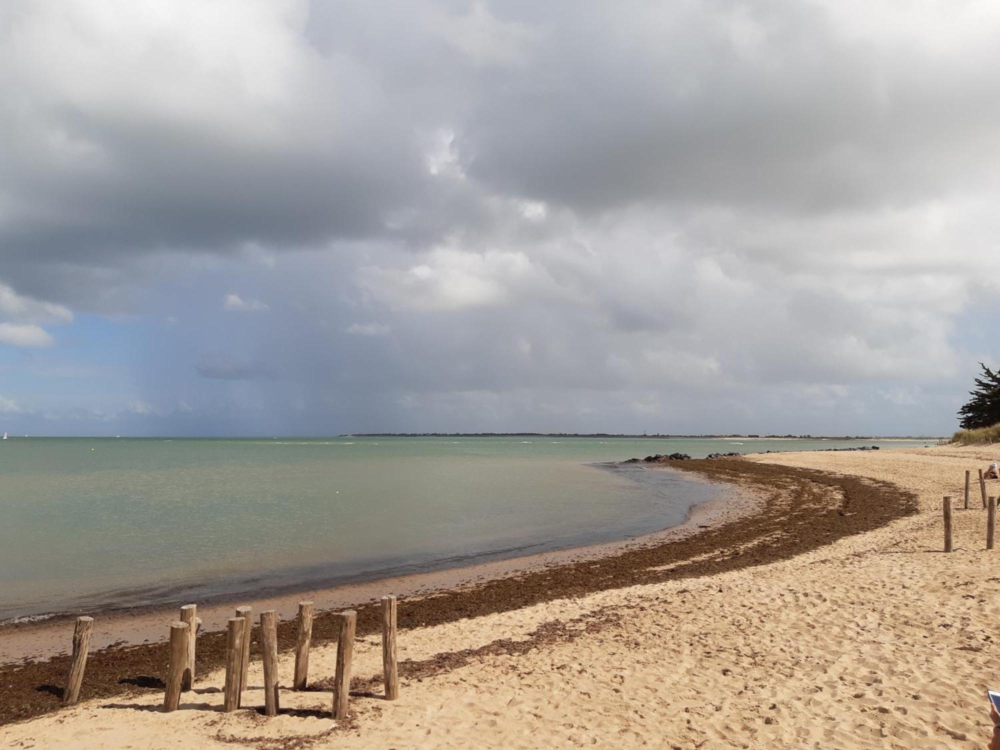 Maison De Vacances Entiere A 10 Mn De La Rochelle Dompierre-sur-Mer Exteriér fotografie
